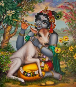 Krishna With Cow