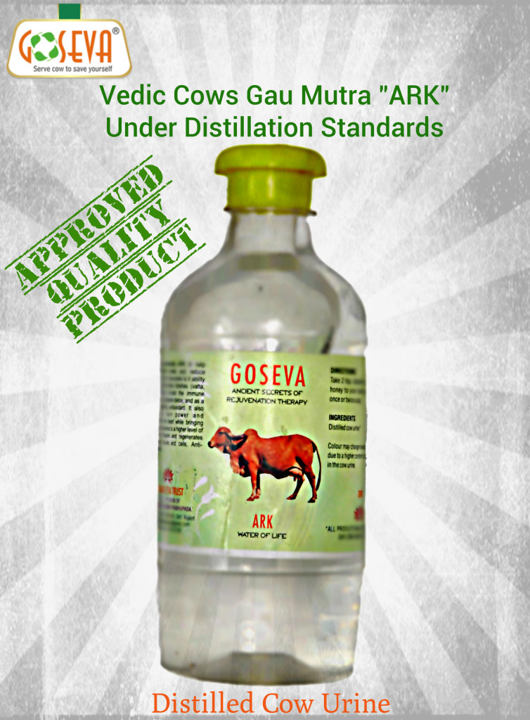 Distilled Gir Cow's Urine with Medicinal Properties