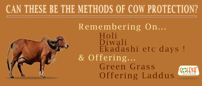 Can These Be Methods To Protect Mother Cow ?