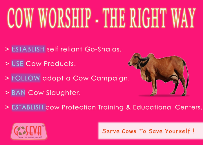 Way To Real Worship Mother Cow